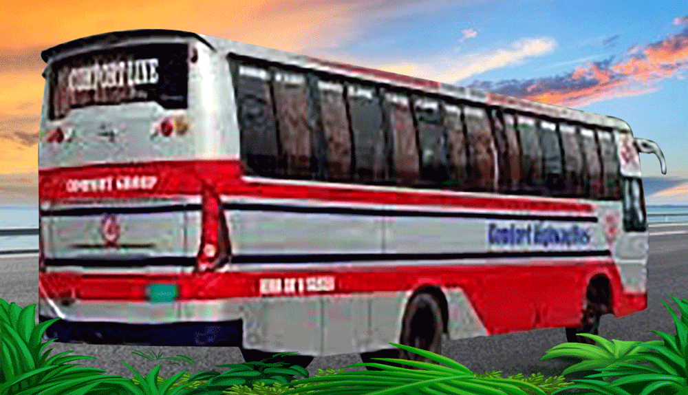 কমফোর্ট লাইন বাস কাউন্টার নম্বর (সকল জেলা ও বিভাগ অনুযায়ী | Comfort Line Bus All Counter Number