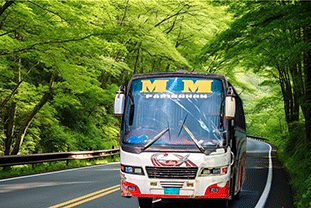এম এম পরিবহন বাসের সকল কাউন্টার নাম্বার, ঠিকানা ও রুট তালিকা