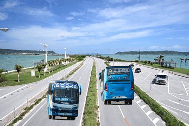 🚌 মারছা ট্রান্সপোর্ট বাসের সকল কাউন্টার নাম্বার | Marsa Transport Bus All Counter Number