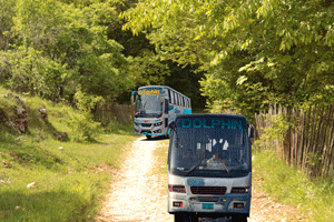 ডলফিন পরিবহন বাসের সকল কাউন্টার নাম্বার | Dolphin Paribahan Bus All Counter Phone Number