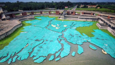 মুজিবনগর ও আমঝুপি নীলকুঠির – মেহেরপুরের ঐতিহাসিক দর্শনীয় স্থান