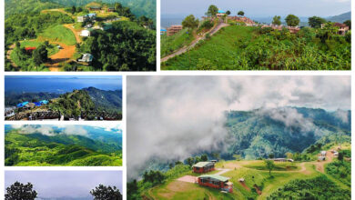 নীলগিরি, বান্দরবান – মেঘে ঢাকা পাহাড়ের সৌন্দর্য